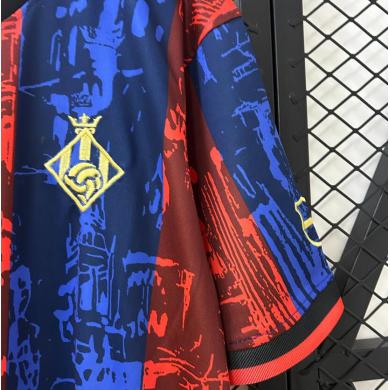 Camiseta Barcelona Fc Special Edition 24/25